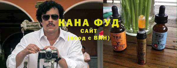 хмурый Алзамай