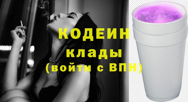 хмурый Алзамай