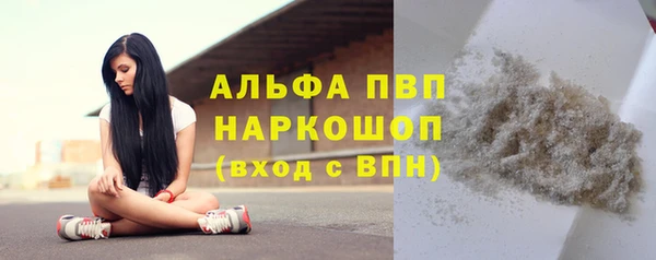 хмурый Алзамай