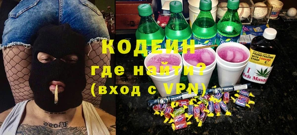 хмурый Алзамай