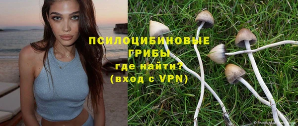 хмурый Алзамай