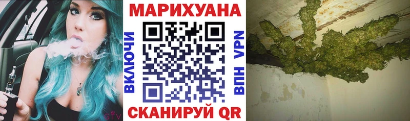 Каннабис гибрид  Луза 